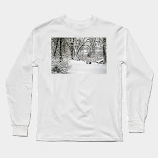 Winter scenery Long Sleeve T-Shirt